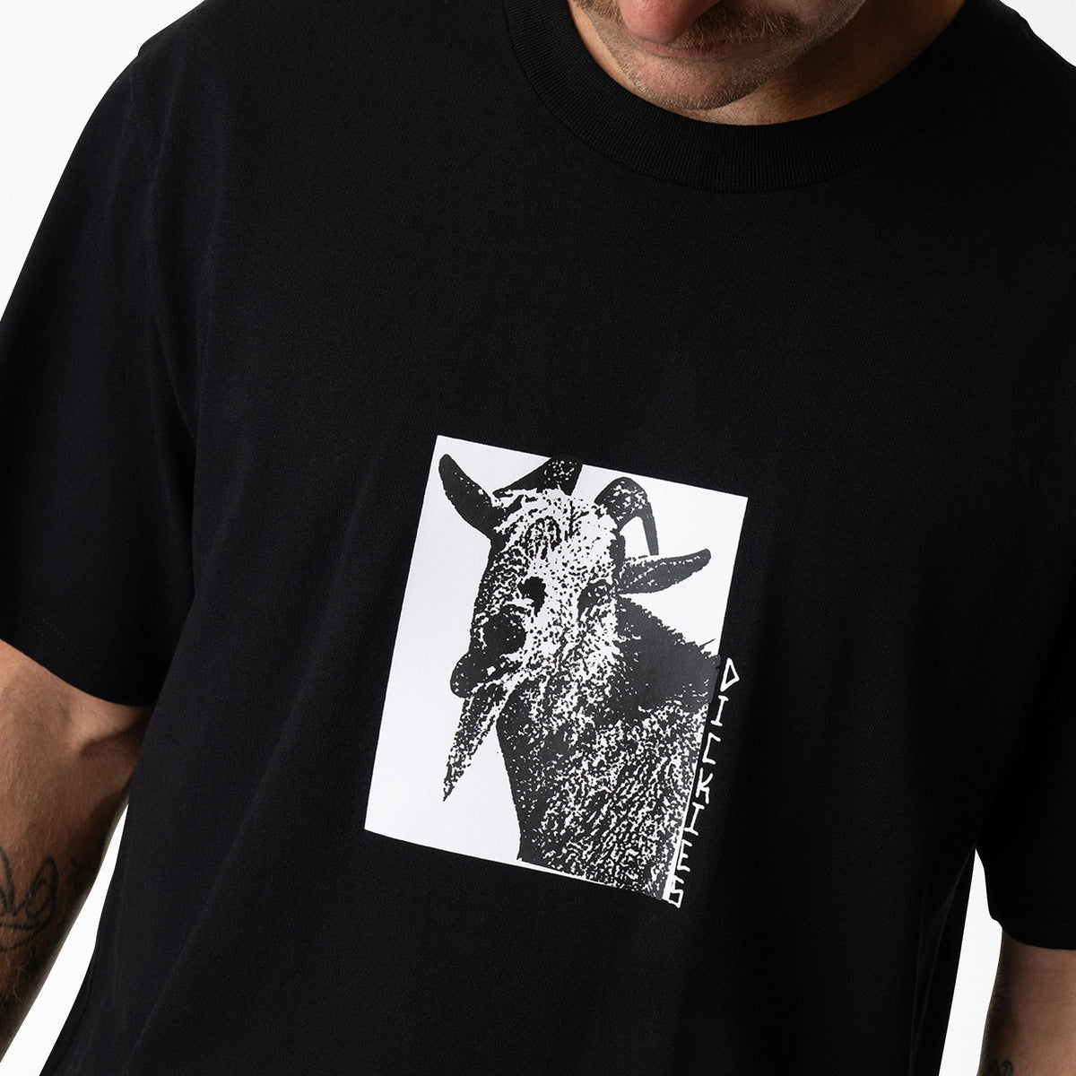 Mike Anderson Graphic T-Shirt For Men | Dickies